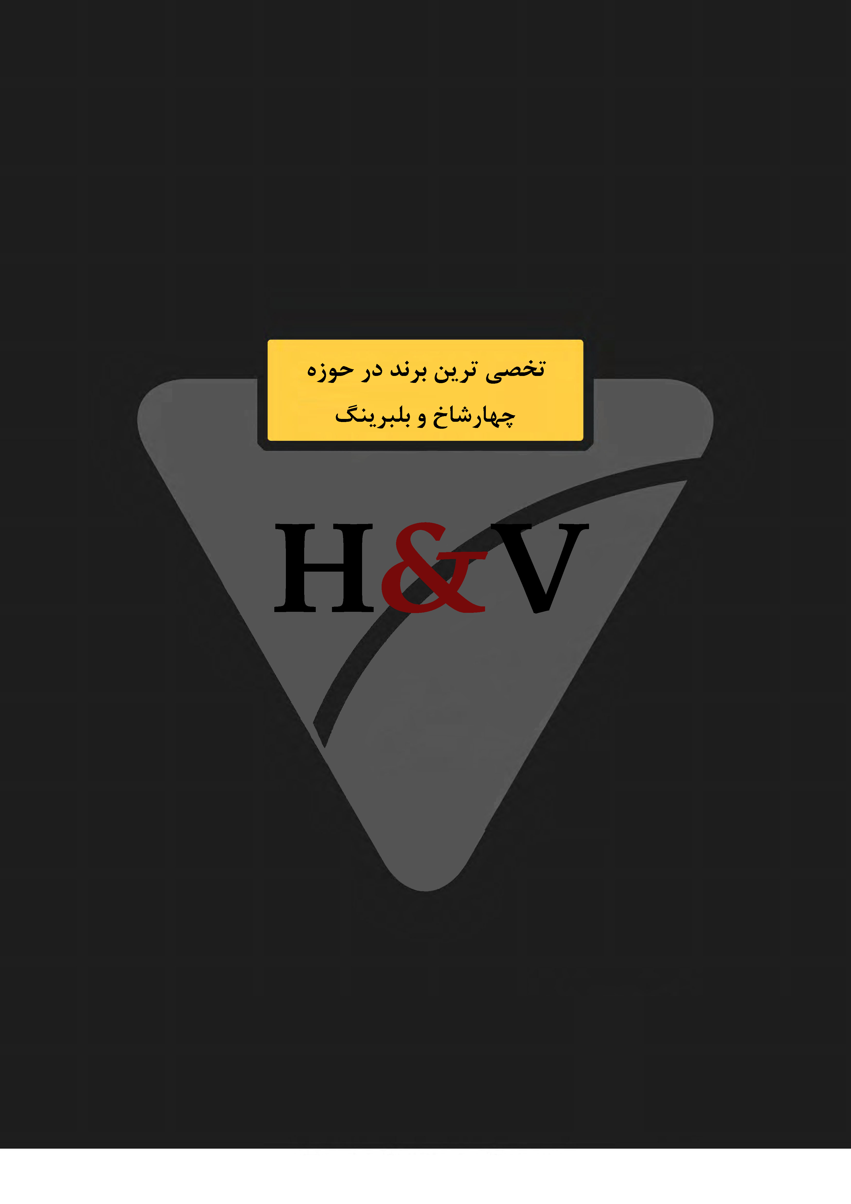 لوگوی برند H&V